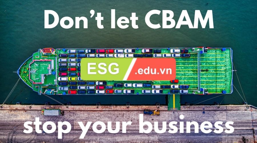 CBAM Calculator & Reporting – Công Cụ Hỗ Trợ Doanh Nghiệp Việt Nam Tuân Thủ Cơ Chế Điều Chỉnh Biên Giới Carbon (CBAM)