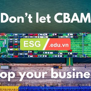 Audited CBAM Reporting Accounting Services